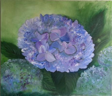 Hortensie - Anke Knoth - Array auf Array - Array - Array Hortensie - Anke Knoth - Array auf Array - Array - Array