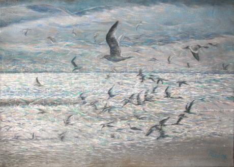 Möwen - Ralph Kuhl - Array auf Array - Array - Array Möwen - Ralph Kuhl - Array auf Array - Array - Array