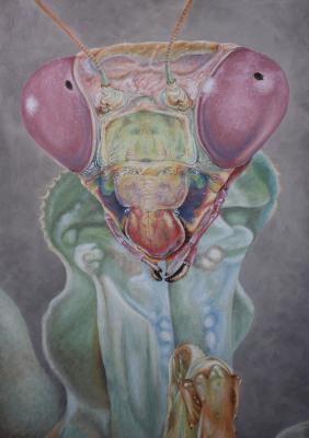 Mantis - Irina Wall - Array auf Array - Array - Array Mantis - Irina Wall - Array auf Array - Array - Array