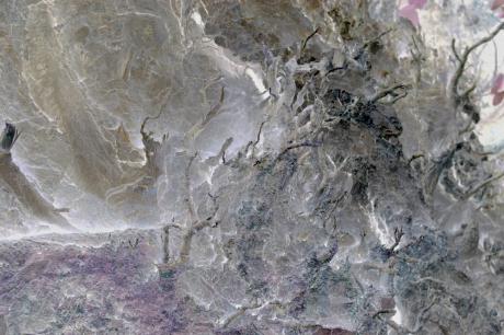 Fremde Welten 1 - Irina Wall - Array auf - Array - Fremde Welten 1 - Irina Wall - Array auf - Array -