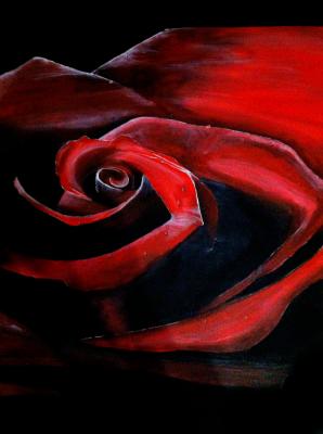 Rose - Michelle Zeggel (mimstract) - Array auf Array - Array - Array Rose - Michelle Zeggel (mimstract) - Array auf Array - Array - Array