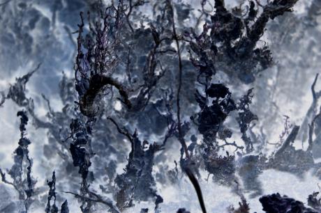 Fremde Welten 2 - Irina Wall - Array auf - Array - Fremde Welten 2 - Irina Wall - Array auf - Array -