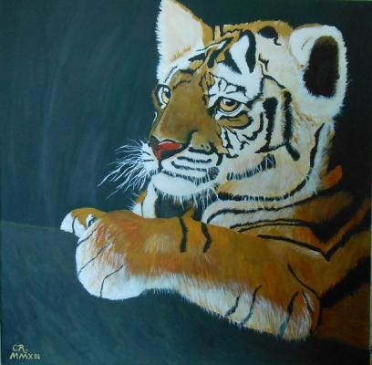 Tigerjunges - Carina Ramlow - Array auf Array - Array - Array Tigerjunges - Carina Ramlow - Array auf Array - Array - Array