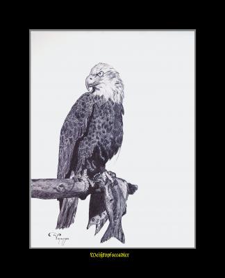 Neues Kunstwerk - Vincenzo Palanga - auf - - Neues Kunstwerk - Vincenzo Palanga - auf - -