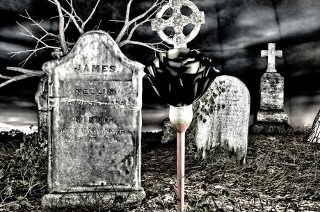 dark rose - Udo W. Klingbeil - auf - Array - dark rose - Udo W. Klingbeil - auf - Array -