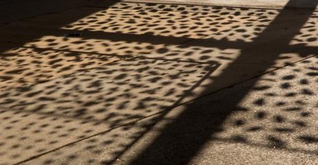 NaturKunstRaum III - Arthur Wyss - auf - Array - NaturKunstRaum III - Arthur Wyss - auf - Array -