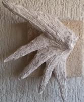 Die Sternschnuppe - Dirk Macess - Array auf - Array - Die Sternschnuppe - Dirk Macess - Array auf - Array -