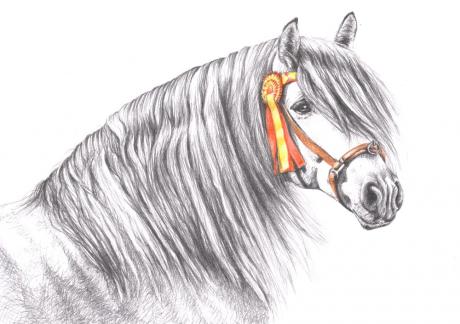 Pura Raza Espanola - Nicole Zeug - Array auf - Array - Pura Raza Espanola - Nicole Zeug - Array auf - Array -