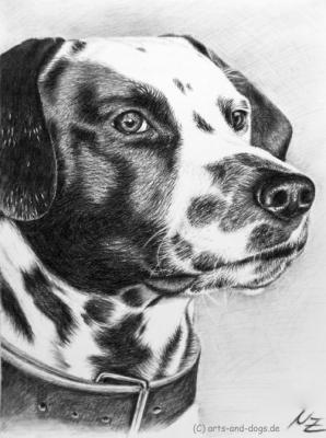 Dalmatiner - Nicole Zeug - Array auf - Array - Dalmatiner - Nicole Zeug - Array auf - Array -