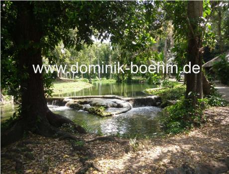 Tropical - auf Leinwand - Dominik Böhm - auf - Array - Tropical - auf Leinwand - Dominik Böhm - auf - Array -