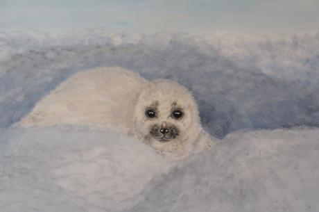 Robbenbaby - Desiree Bernhard - auf - Array - Robbenbaby - Desiree Bernhard - auf - Array -