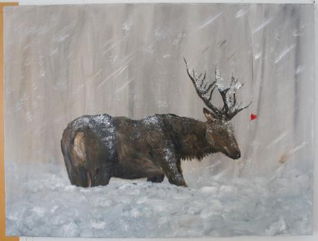 Hirsch im Winter - Desiree Bernhard - auf - Array - Hirsch im Winter - Desiree Bernhard - auf - Array -