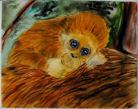 kleines Babyäffchen - Desiree Bernhard - auf - Array - kleines Babyäffchen - Desiree Bernhard - auf - Array -