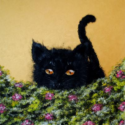 Neugieriges Kätzchen - Desiree Bernhard - auf - Array - Neugieriges Kätzchen - Desiree Bernhard - auf - Array -