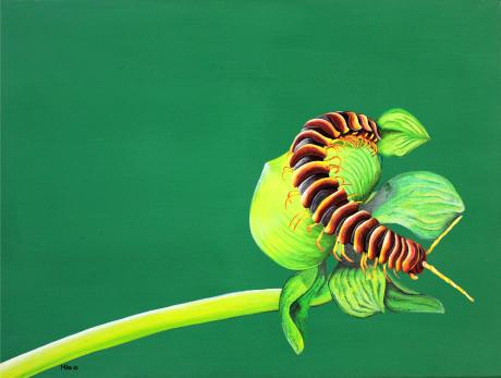 Füssler - mike . mairhofer - Array auf Array - - Füssler - mike . mairhofer - Array auf Array - -