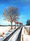 Winterspaziergang - Simone Wilhelms - - auf - Schnee-Wald - Winterspaziergang - Simone Wilhelms - - auf - Schnee-Wald -