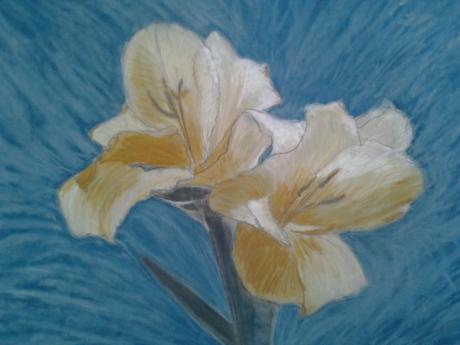 Blume vor Blau - Ursula Langa - Array auf Array - Array - Array Blume vor Blau - Ursula Langa - Array auf Array - Array - Array