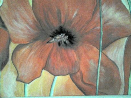 roter Mohn - Ursula Langa - Array auf Array - Array - Array roter Mohn - Ursula Langa - Array auf Array - Array - Array