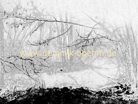 Bei Nacht - 5 - Dominik Böhm - Array auf - Array - Bei Nacht - 5 - Dominik Böhm - Array auf - Array -