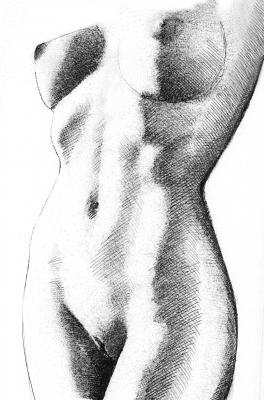 FRAUENAKT_05 - NN WELT - Array auf - Array - FRAUENAKT_05 - NN WELT - Array auf - Array -