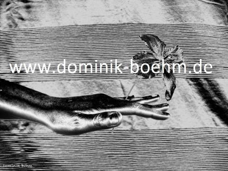 Alles was man braucht? - A - Dominik Böhm - auf - Array - Alles was man braucht? - A - Dominik Böhm - auf - Array -