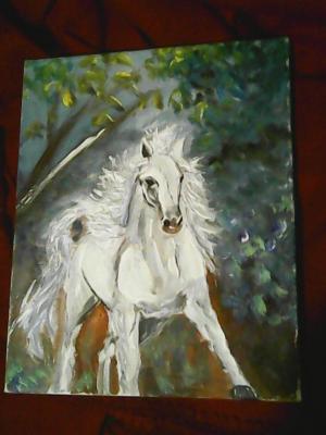 weisses Pferd - Ranko Savanovic - auf Array - Array - weisses Pferd - Ranko Savanovic - auf Array - Array -