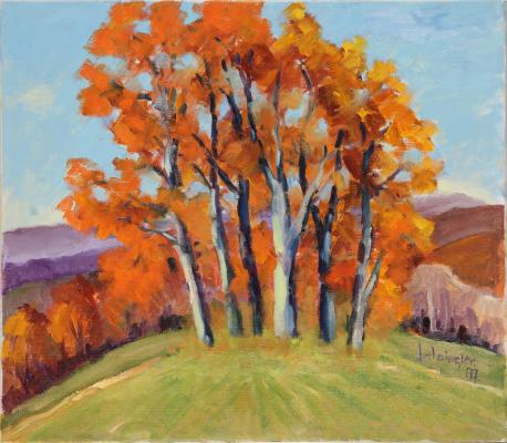 Herbstliche Buchen Wannenberg - Josef Heinzler - Thomas Knab - Array auf Array - Array - Array Herbstliche Buchen Wannenberg - Josef Heinzler - Thomas Knab - Array auf Array - Array - Array