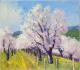 Kirschblüte in Schwerzen - Josef Heinzler - Thomas Knab - Ãl auf Leinwand - Reisen-Bäume-Wald-Wiese-Frühling - Impressionismus Kirschblüte in Schwerzen - Josef Heinzler - Thomas Knab - Ãl auf Leinwand - Reisen-Bäume-Wald-Wiese-Frühling - Impressionismus