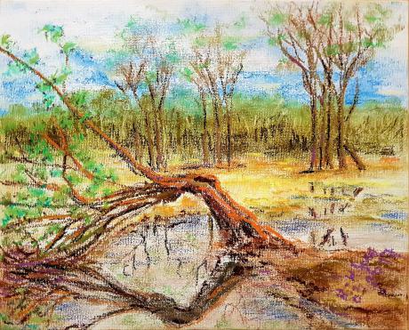 Frühling im Spreewald - Hanns-Henrik Vogel - Array auf Array - Array - Frühling im Spreewald - Hanns-Henrik Vogel - Array auf Array - Array -