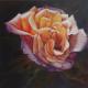 welkende Rose - ingrid wenz-gahler - Acryl auf  - Rosen - Realismus