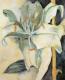 Lilie 1 - Rike Hecker - Acryl auf Leinwand - Sonstiges - Lilie 1 - Rike Hecker - Acryl auf Leinwand - Sonstiges -