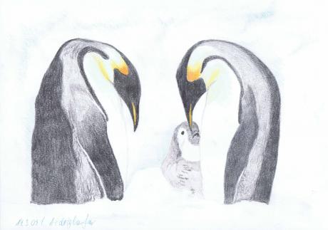 Pinguine-Familie - Claudia Lüthi - Array auf - - Array Pinguine-Familie - Claudia Lüthi - Array auf - - Array