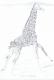 Giraffe - Claudia Lüthi - Bleistift auf - Wildtiere - Expressionismus-Gegenständlich-Impressionismus-Klassisch-Realismus Giraffe - Claudia Lüthi - Bleistift auf - Wildtiere - Expressionismus-Gegenständlich-Impressionismus-Klassisch-Realismus